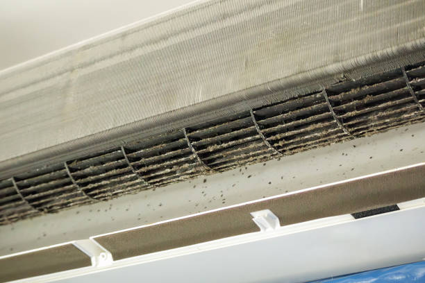 Best Ductwork Odor Removal in Emerald Bay, TX